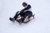 img20260316wa0042_small.jpg