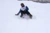 img20260316wa0043_small.jpg