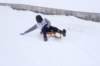 img20260316wa0053_small.jpg