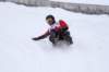 img20260316wa0056_small.jpg