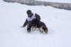 img20260316wa0057_small.jpg