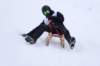 img20260316wa0058_small.jpg