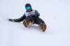 img20260316wa0060_small.jpg