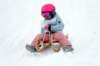 img20260316wa0063_small.jpg