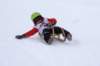 img20260316wa0065_small.jpg