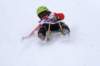img20260316wa0066_small.jpg