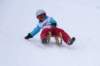 img20260316wa0067_small.jpg