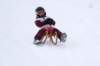 img20260316wa0068_small.jpg