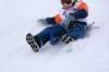 img20260316wa0072_small.jpg
