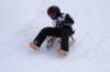 img20260316wa0073_small.jpg