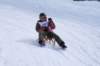 img20260316wa0082_small.jpg