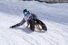 img20260316wa0086_small.jpg