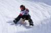 img20260316wa0089_small.jpg