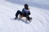 img20260316wa0090_small.jpg