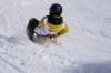 img20260316wa0095_small.jpg