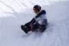 img20260316wa0097_small.jpg