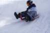 img20260316wa0098_small.jpg