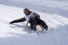 img20260316wa0102_small.jpg