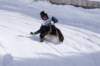 img20260316wa0109_small.jpg