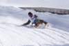 img20260316wa0110_small.jpg