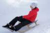 img20260316wa0112_small.jpg