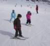 dsc06273_small.jpg