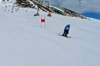 p1080758_bearbeitet1_small.jpg
