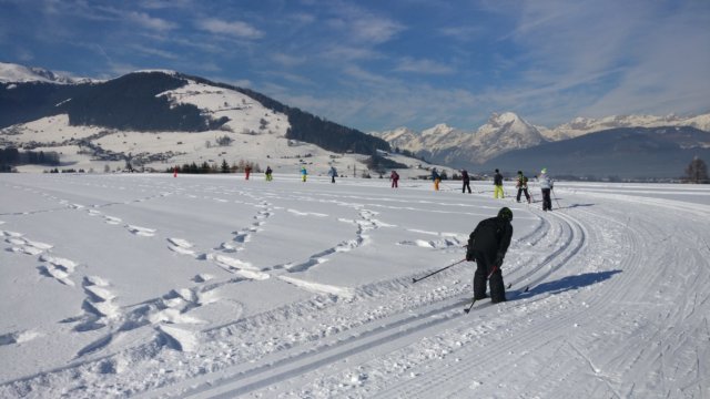 img_20170124_120222.jpg