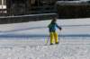 p1220134_small.jpg