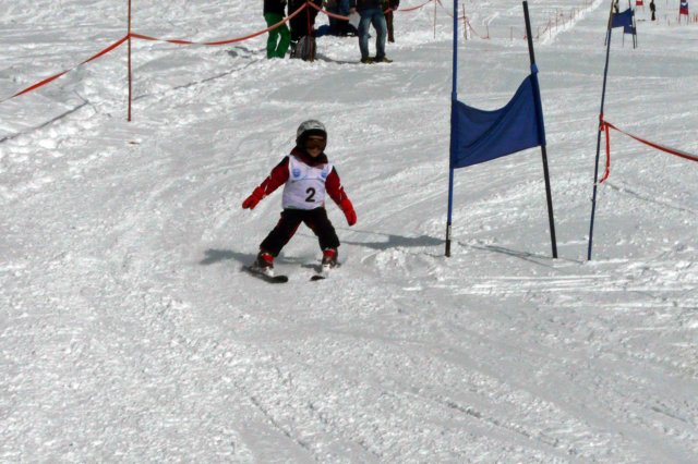 p1120359.jpg