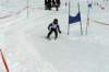 p1120366_small.jpg