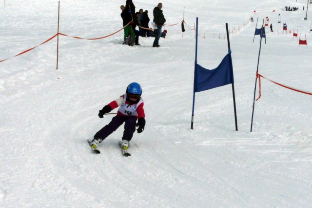 p1120372.jpg