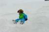 p1140547_bearbeitet1_small.jpg