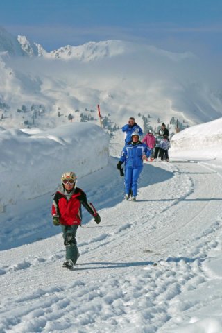 p1140564_bearbeitet1.jpg