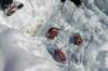 p1140580_bearbeitet1_small.jpg