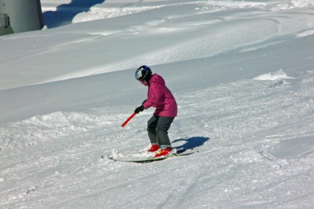 p1140589_bearbeitet1.jpg