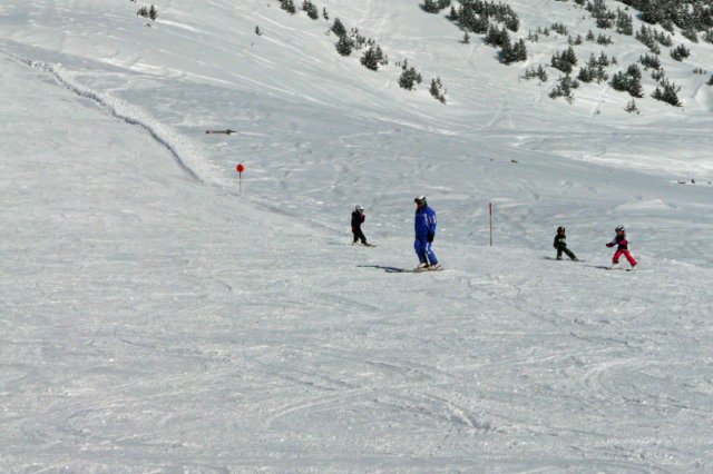 p1140593_bearbeitet1.jpg