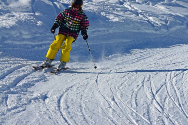 p1140618_bearbeitet1.jpg