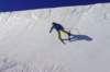 p1140629_bearbeitet1_small.jpg