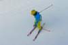 p1140630_bearbeitet1_small.jpg