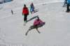 p1140672_bearbeitet1_small.jpg