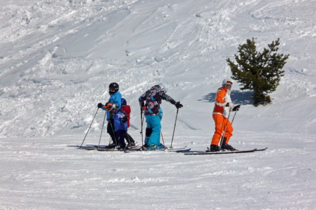 p1140678_bearbeitet1.jpg