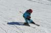 p1140684_bearbeitet1_small.jpg