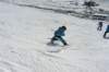 p1140694_bearbeitet1_small.jpg