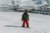 p1140705_bearbeitet1_small.jpg