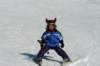 p1140712_bearbeitet1_small.jpg
