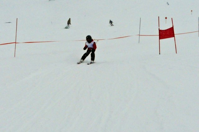 p1140742_bearbeitet1.jpg