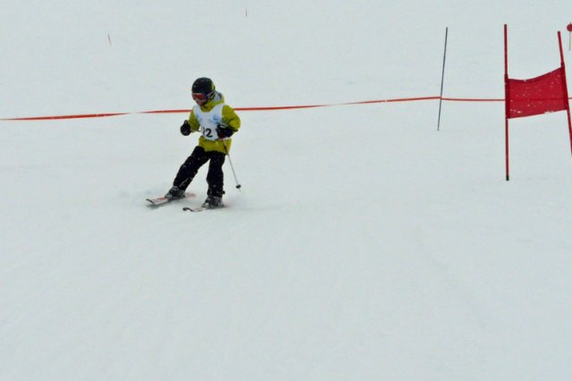p1140744_bearbeitet1.jpg