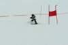 p1140745_bearbeitet1_small.jpg