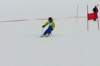 p1140754_bearbeitet1_small.jpg